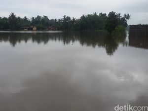 Hujan Deras Semalam di Bantul, Sawah Tergenang dan 1 Orang Tewas Terseret Arus