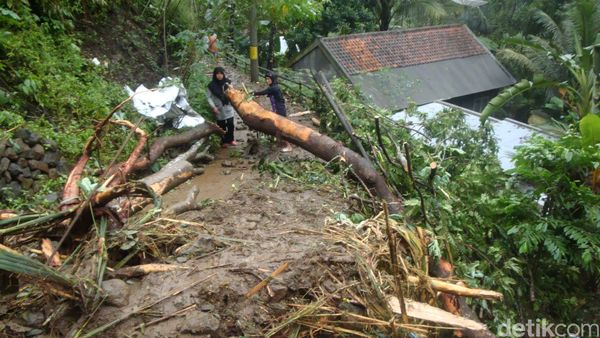6 Orang Meninggal Tertimbun Longsor di Banjarnegara