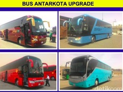 Memahami Rute Bus dan Layanan Transportasi Selama Haji