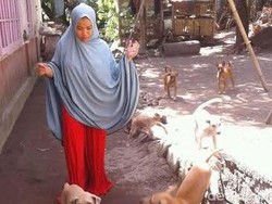 Pelihara 26 Anjing dan 40 Kucing di Lombok, ini Jumlah Uang yang Dihabiskan Desy