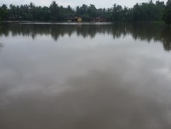 BPBD DIY: 1.050 Hektar Lahan Pertanian Terancam Puso Akibat Terendam Banjir