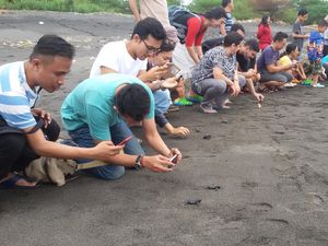 Jelang Ngabuburit, Komunitas Ini Ajak Warga Lepas Tukik di Pantai Jelang Ngabuburit, Komunitas Ini Ajak Warga Lepas Tukik di Pantai