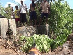 Tiga Bangkai Paus Dikubur Manual, ini Alasan Diskanla