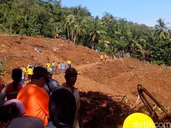 Penampakan Longsor di Purworejo: Bukit Amblas, Pohon-pohon Terseret Tanah