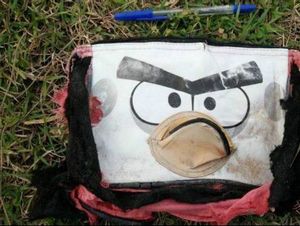 Foto Barang-barang Pribadi yang Diduga Milik Penumpang MH370 Dirilis