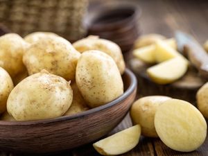 Rasa Kentang Lokal RI Lebih Lezat, Kenapa Industri Pilih Impor? Rasa Kentang Lokal RI Lebih Lezat, Kenapa Industri Pilih Impor?