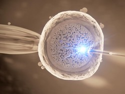 Ilmuwan Sukses Ciptakan Sel Telur dari Kulit Tikus