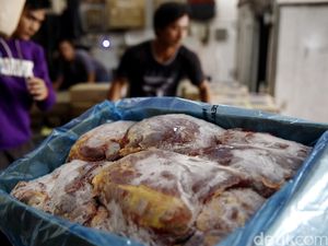Dirut Bulog Kaget Harga Daging Beku di Pasar Rp 100.000/Kg