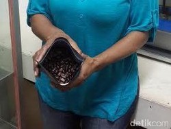 Makin Berkembang, Kopi Suku Amungme Dilirik Franchise Ternama