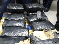 Seorang Pria Dibekuk di Bandara Kualanamu karena Bawa Ganja 14 Kg