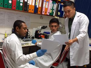 Dokter Punya Penghasilan dari Buka Praktik Pribadi, Perlukah Ikut Tax Amnesty?