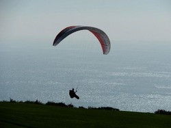 Selamat dari Tsunami Palu, Pria Singapura Tewas di India