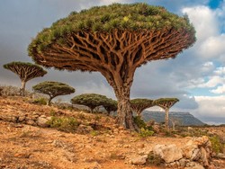 3 Tempat di Timur Tengah yang Seperti di Planet Lain