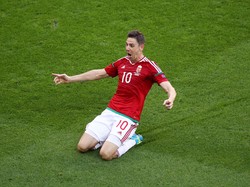 Zoltan Gera Si Anggur Tua