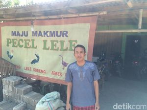 Mengecek Jalur Mudik: Mendengar Pengakuan Pedagang di Pantura Setelah Cipali Dibuka