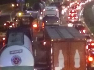 Pohon Tumbang di Tol JORR KM 23 Dievakuasi, Kemacetan Mulai Terurai Pohon Tumbang di Tol JORR KM 23 Dievakuasi, Kemacetan Mulai Terurai