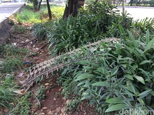 Begini Kondisi Pagar Halte TransJ Pedongkelan yang Rusak Ditabrak Mobil