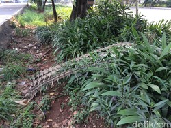 Begini Kondisi Pagar Halte TransJ Pedongkelan yang Rusak Ditabrak Mobil