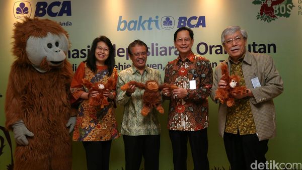 BCA Lepas Liarkan Orangutan