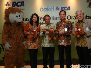 BCA Lepas Liarkan Orangutan