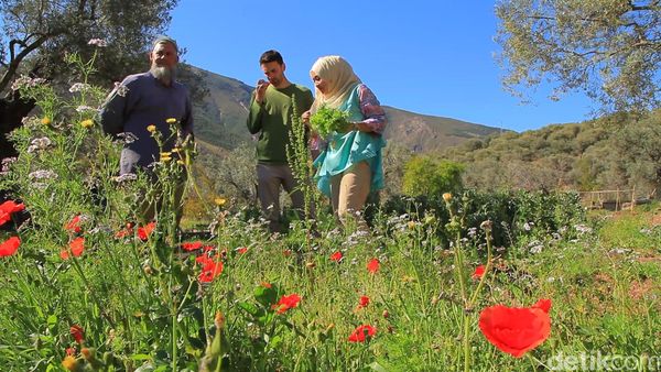 Alpujarras, Benteng Terakhir Muslim Spanyol