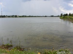 Pangkalpinang Gandeng ITB dan University of Florida untuk Benahi Tata Kota