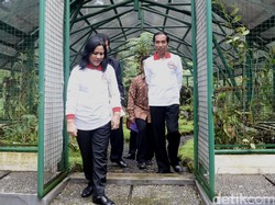 Akhir Pekan, Jokowi Keliling Kebun Raya Cibodas dan Belanja di Pasar Cipanas