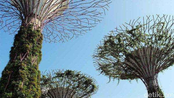 Melihat Bunga & Tumbuhan Dunia di Gardens by The Bay