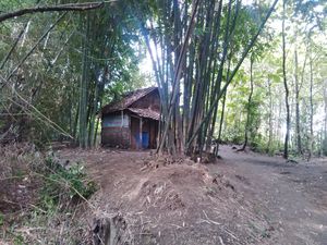 Mbah Karep, Tinggal Sendiri di Gubuk dengan Kanker Kulit