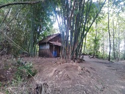 Mbah Karep, Tinggal Sendiri di Gubuk dengan Kanker Kulit