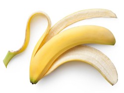 Kulit Pisang dan Sukun, Meski Kurang Populer Tetapi Kaya Nutrisi (1)