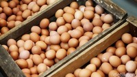 Harga Telur Ayam Naik Imbas Tingginya Permintaan dari Jabodetabek
