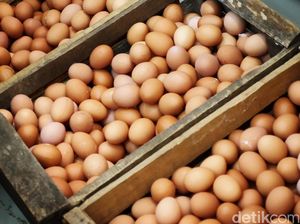 Berapa Jumlah Telur yang Aman Dimakan dalam Sehari? Berikut Penjelasannya Berapa Jumlah Telur yang Aman Dimakan dalam Sehari? Berikut Penjelasannya