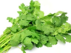 Daun Ketumbar Kini Makin Digemari oleh Orang Jepang