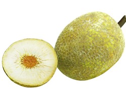 Kulit Pisang dan Sukun, Meski Kurang Populer Tetapi Kaya Nutrisi (2)