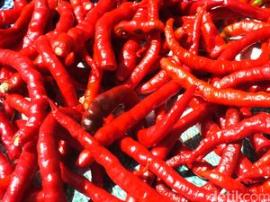 Harga Cabai Merah Mulai Turun, Kini di Bawah Rp 50 Ribu/Kg di Medan Harga Cabai Merah Mulai Turun, Kini di Bawah Rp 50 Ribu/Kg di Medan