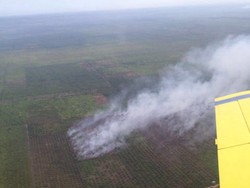 Satelit Modis Deteksi 482 Hotspot Kebakaran Hutan dan Lahan di Indonesia