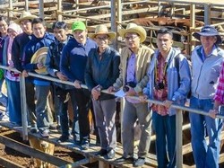 Australia Beri Beasiswa Kursus Bisnis Bagi Warga Indonesia