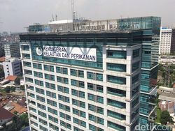 Siapa Layak Gantikan Edhy Prabowo di KKP?