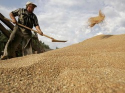 Impor Gandum Naik Hampir 1.000%, Terbesar dari Ukraina