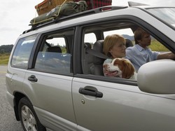 Saat Mudik Jangan Andalkan Suplemen Vitamin C Saja, Perbanyak Makan Buah