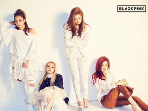 6 Hal yang Dilarang Keras Dilakukan Anggota Girlband K-pop 6 Hal yang Dilarang Keras Dilakukan Anggota Girlband K-pop