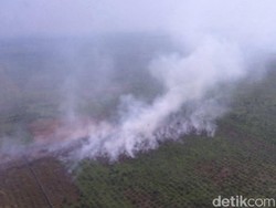 SP3 Kasus Karhutla Dipertanyakan, Begini Respons Kapolda Riau