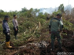 George Soros Dkk Tertarik Bantu Restorasi Lahan Gambut di Hutan Indonesia