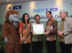 Donasi untuk Pelepasliaran Orangutan di Hutan Kehje Sewen, Kalimantan Timur
