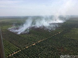 Dibanding 2015, Jumlah Kebakaran Hutan Tahun Ini Menurun Drastis