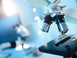 RIAD Test, Metode Mudah Deteksi Rabies Tanpa Alat Canggih