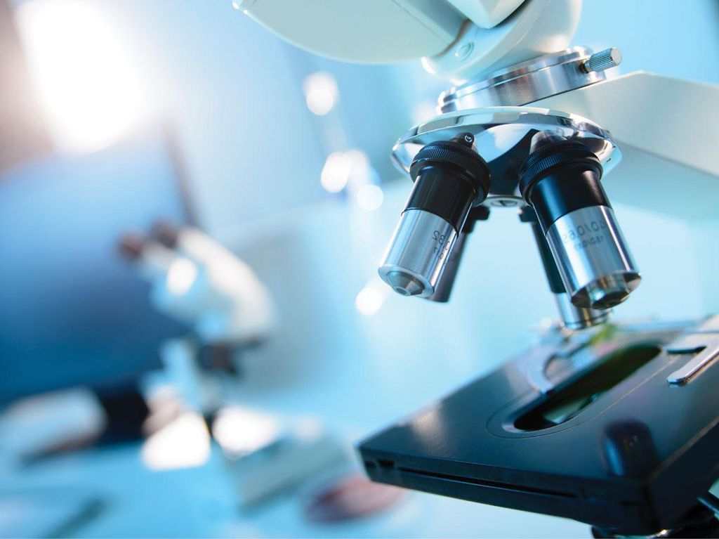 Studi: Parasit Toksoplasma Punya Potensi Menjadi Obat Kanker Ovarium Studi: Parasit Toksoplasma Punya Potensi Menjadi Obat Kanker Ovarium