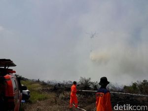 Kebakaran Lahan Semakin Meluas di Kabupaten Rokan Hilir Riau Kebakaran Lahan Semakin Meluas di Kabupaten Rokan Hilir Riau