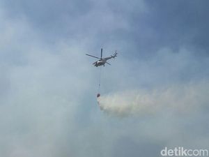 BNPB Minta Satgas Karhutla untuk Lakukan Mobilisasi Udara